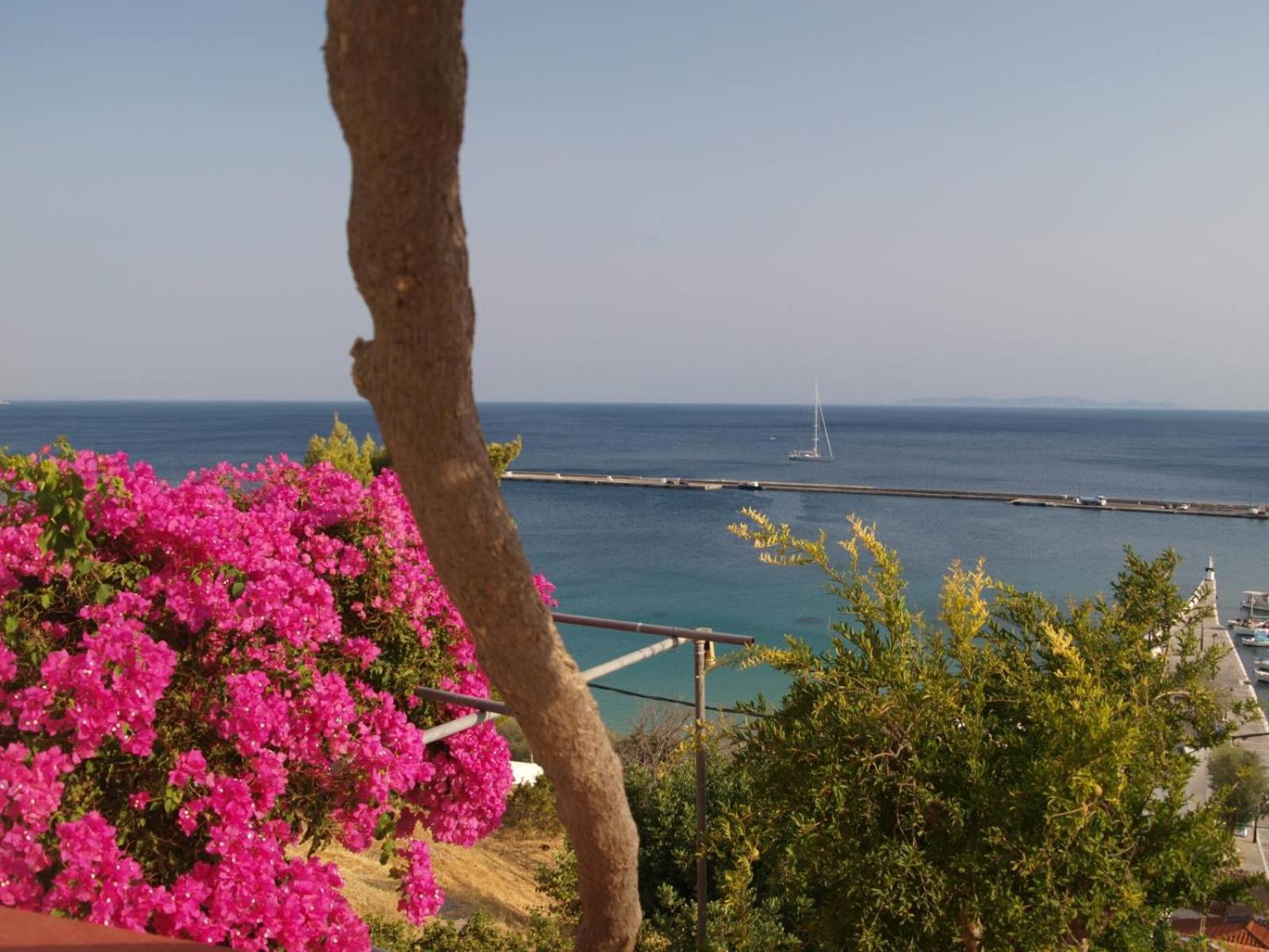 Olympiada View Hotel Pythagoreio  Bagian luar foto